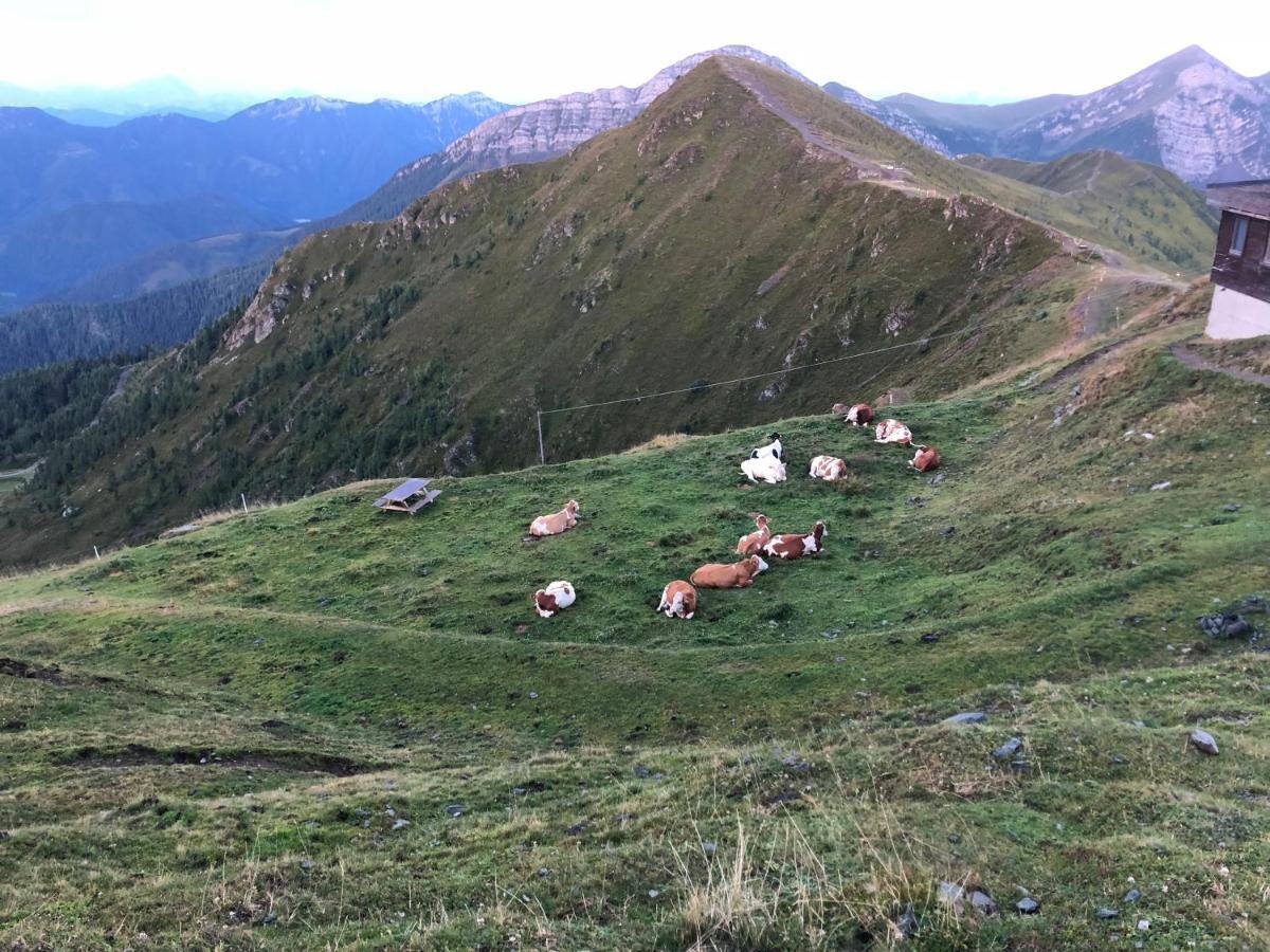 Haus Mup Lägenhet Spittal an der Drau Exteriör bild